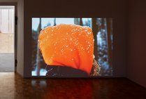 24_Kathrin Wojtowicz_Then and There_detail